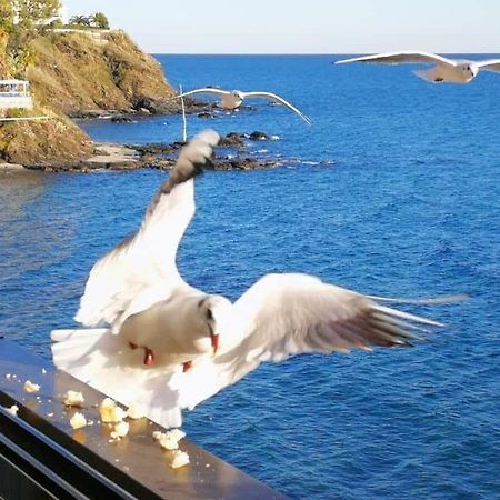 Malibu Playa Lägenhet Benalmádena Exteriör bild